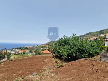 Moradia T3 para Venda em Arco da Calheta