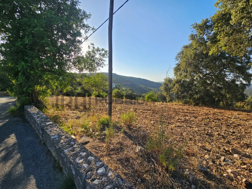 Terreno para Venda em Querença, Tôr e Benafim Foto 3