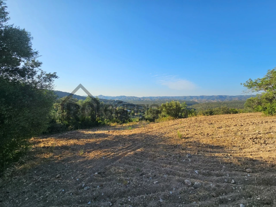 Terreno para Venda em Querença, Tôr e Benafim Foto 5