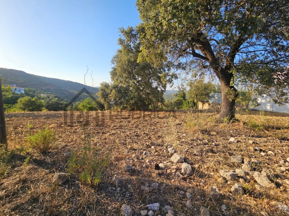 Terreno para Venda em Querença, Tôr e Benafim Foto 7
