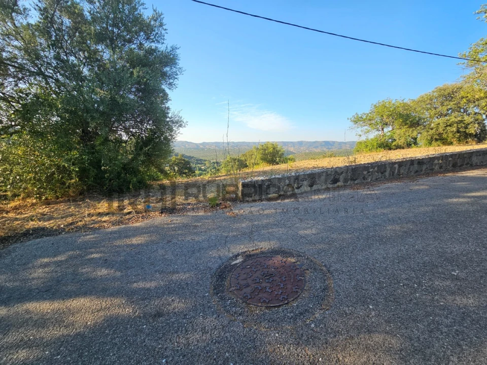 Terreno para Venda em Querença, Tôr e Benafim Foto 8