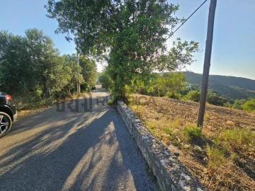 Terreno para Venda em Querença, Tôr e Benafim