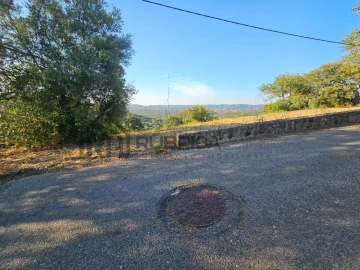 Terreno para Venda em Querença, Tôr e Benafim