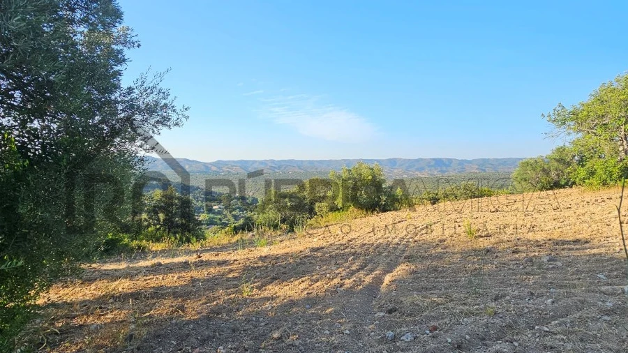 Terreno para Venda em Querença, Tôr e Benafim