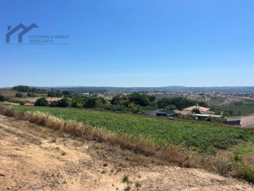 Moradia T4 para Venda em Reguengo Grande