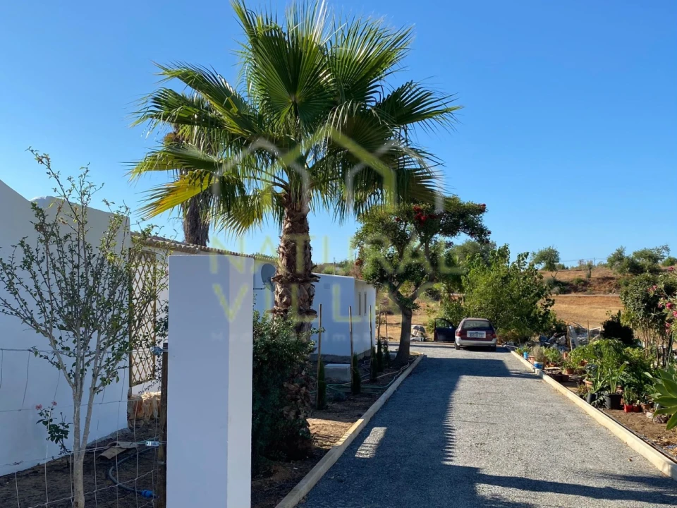Quinta T16 para Venda em Pechão Foto 1