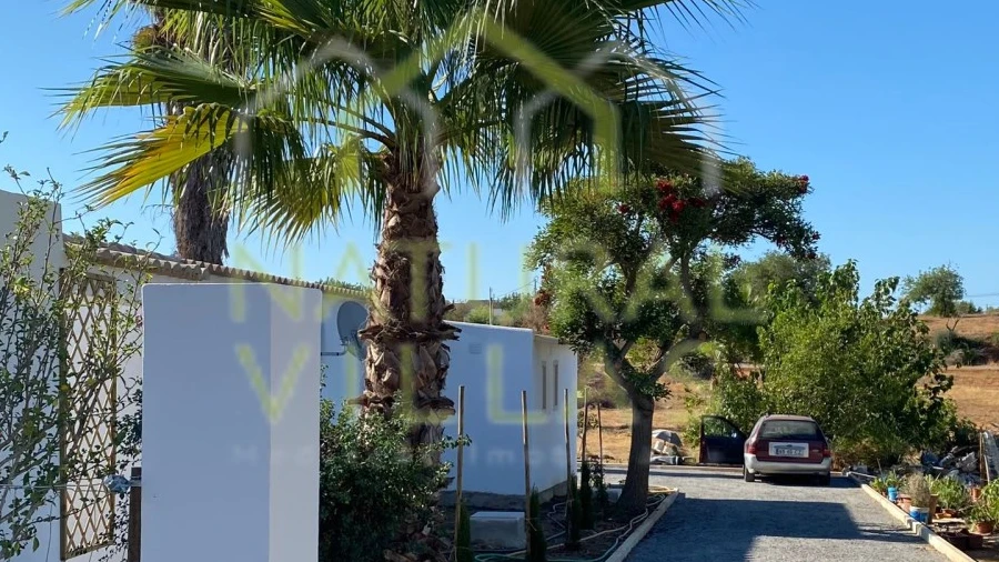 Quinta T16 para Venda em Pechão