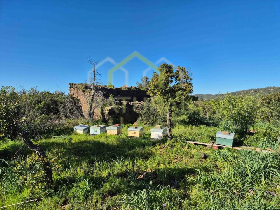 Terreno Misto para Venda em Salir Foto 1