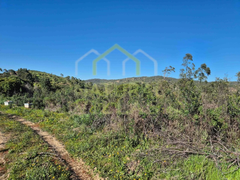 Terreno Misto para Venda em Salir Foto 9