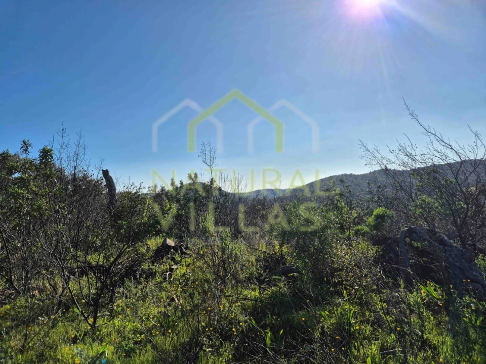 Terreno Misto para Venda em Salir Foto 10