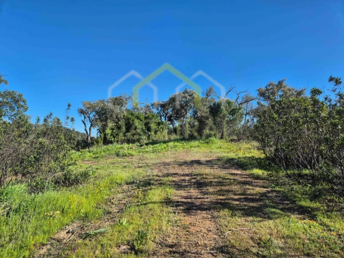 Terreno Misto para Venda em Salir Foto 4