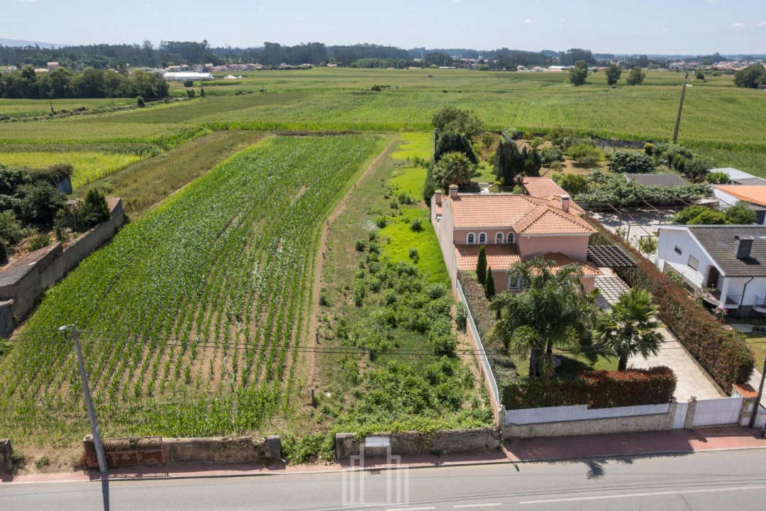 Terreno para Venda em Ovar, São João, Arada e São Vicente de Pereira Jusã Foto 13