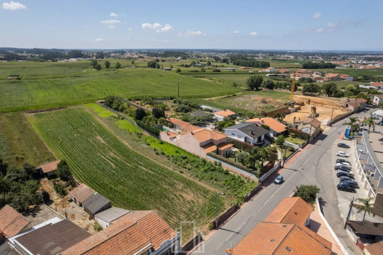 Terreno para Venda em Ovar, São João, Arada e São Vicente de Pereira Jusã Foto 14