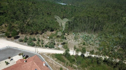 Terreno para Venda em São Mamede