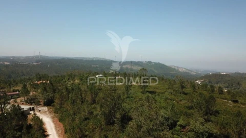 Terreno para Venda em São Mamede