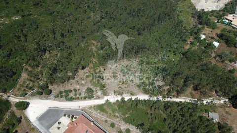 Terreno para Venda em São Mamede