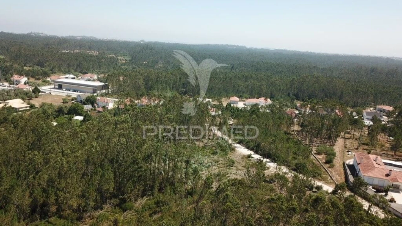 Terreno para Venda em São Mamede Foto 6
