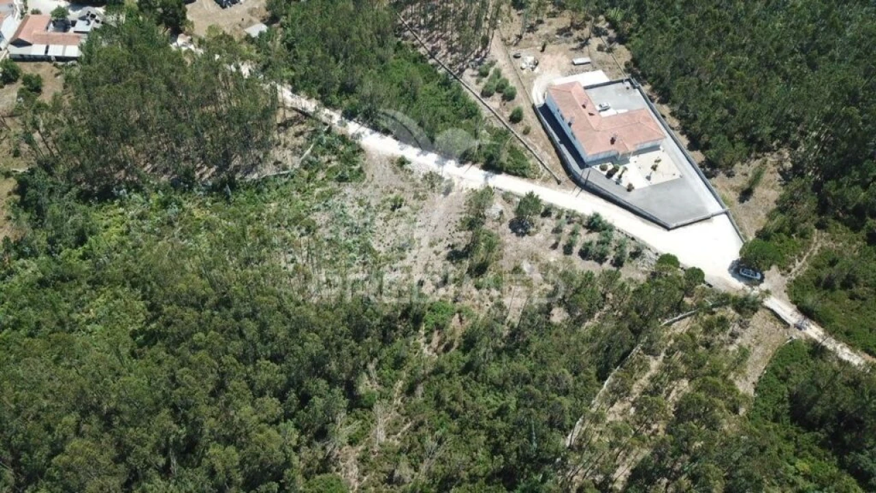 Terreno para Venda em São Mamede Foto 4