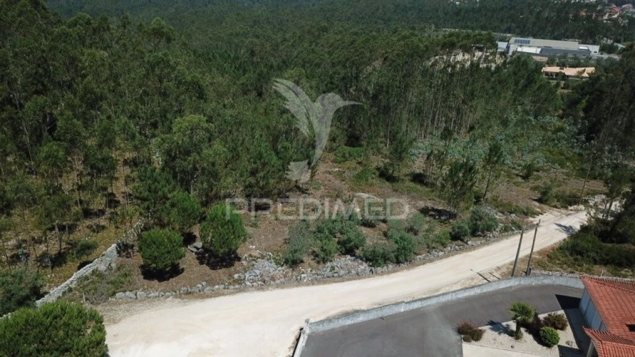 Terreno para Venda em São Mamede Foto 2