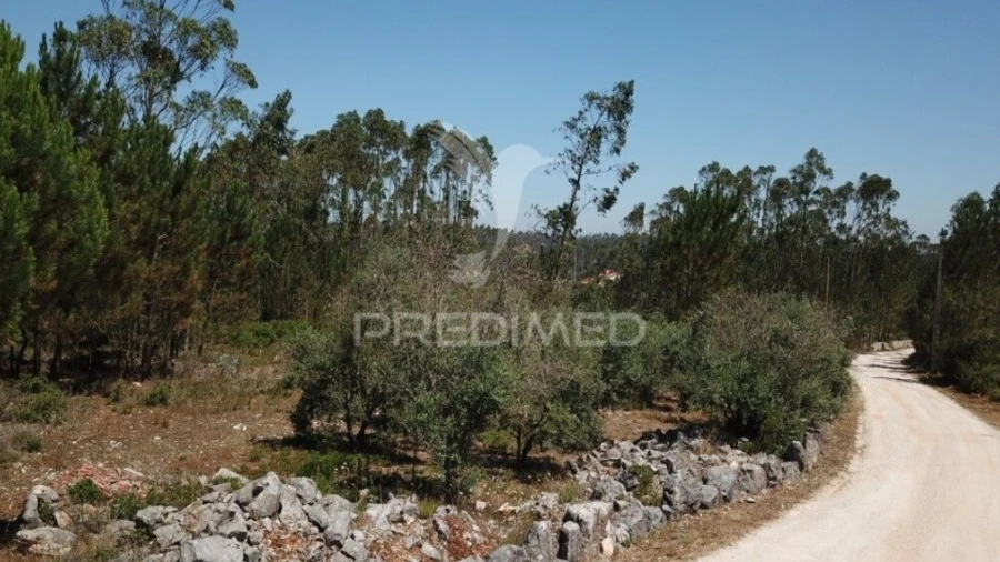 Terreno para Venda em São Mamede