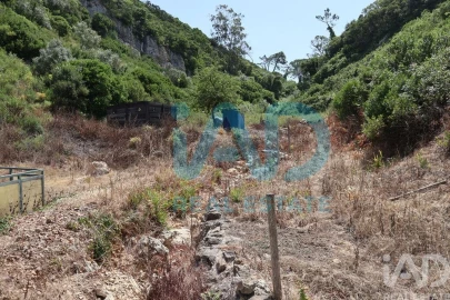 Quinta T5 para Venda em Roliça