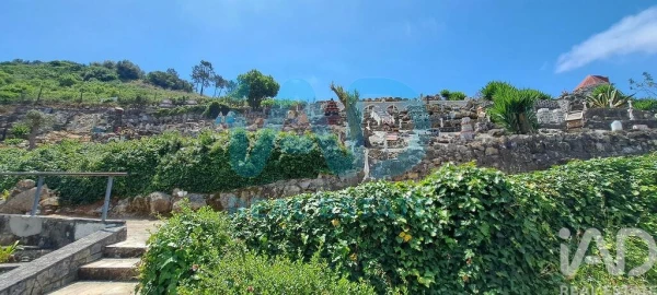 Quinta T5 para Venda em Roliça