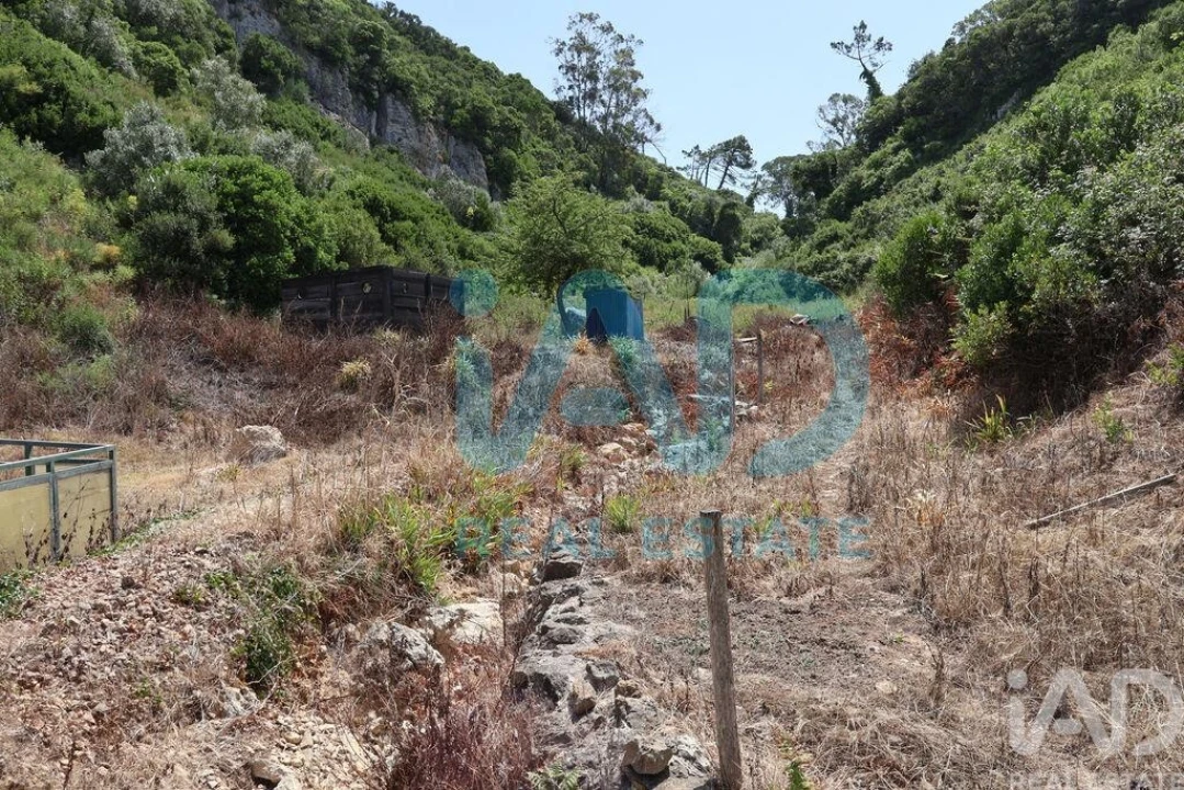 Quinta T5 para Venda em Roliça Foto 28