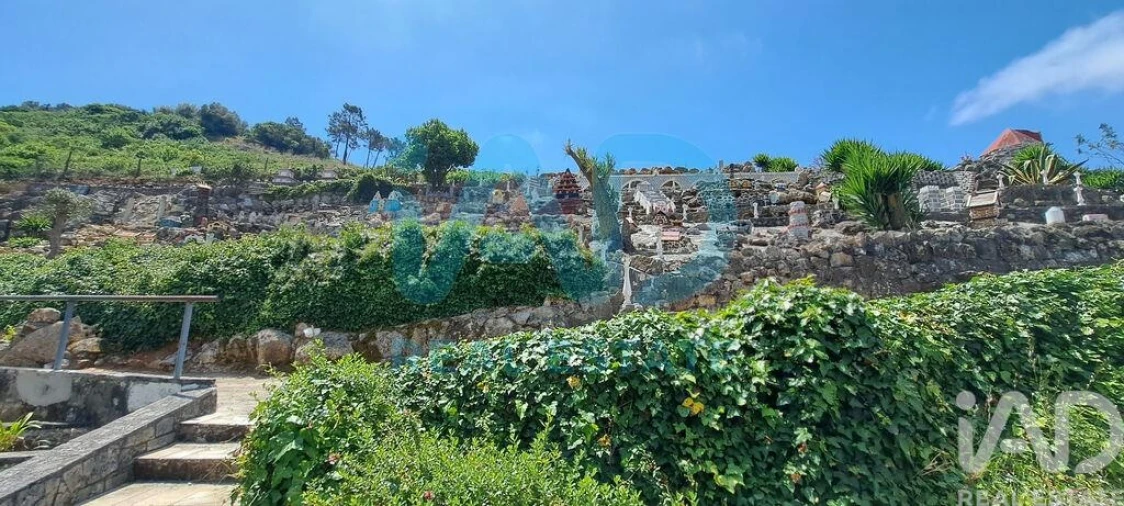 Quinta T5 para Venda em Roliça Foto 5