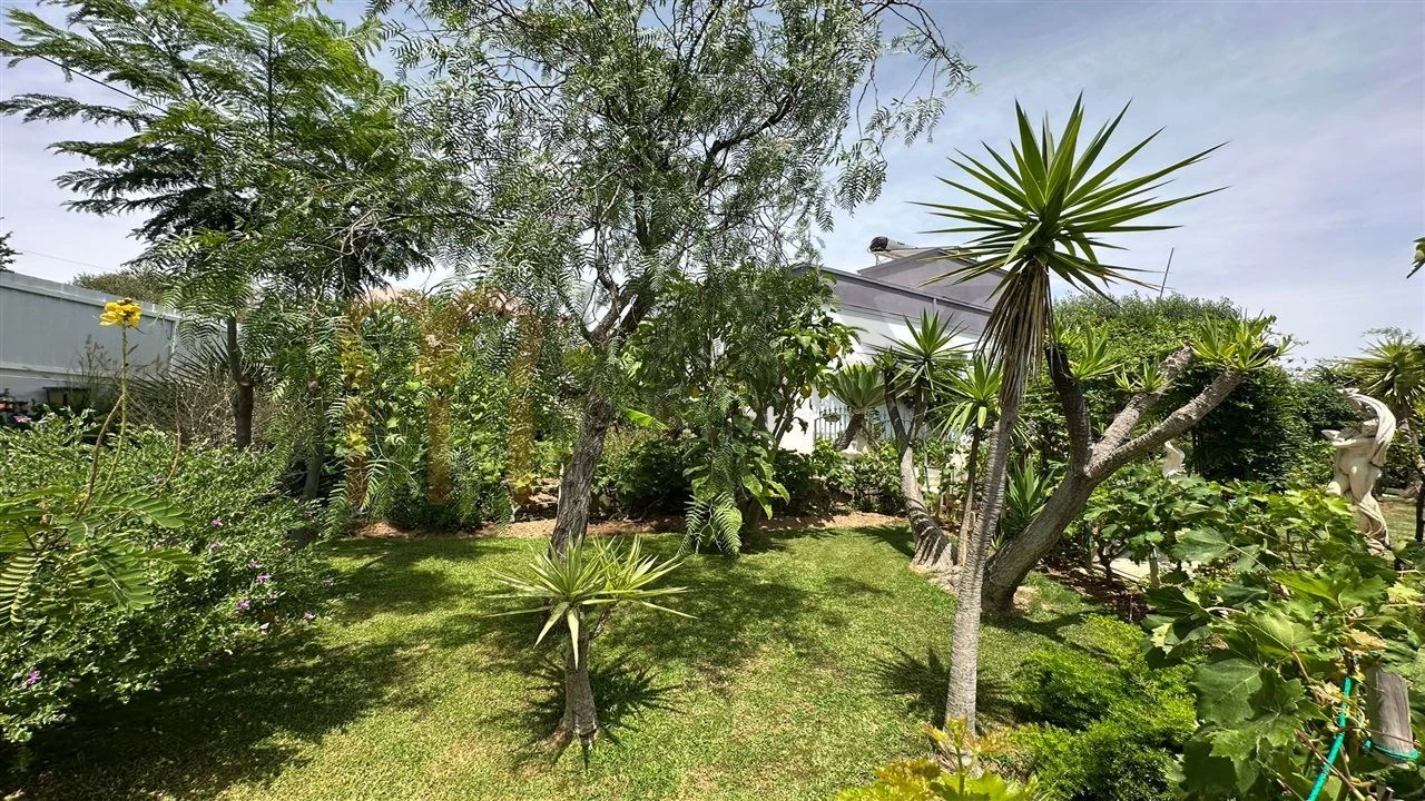 Moradia T2 para Venda em Azinhal Foto 3
