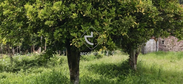 Moradia T3 para Venda em Refoios do Lima