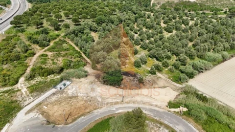 Terreno para Venda em Romeira e Várzea