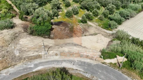 Terreno para Venda em Romeira e Várzea