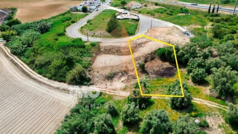 Terreno para Venda em Romeira e Várzea