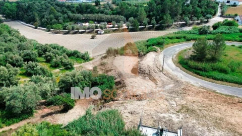 Terreno para Venda em Romeira e Várzea