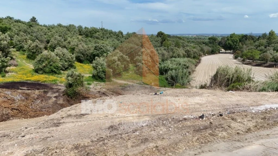 Terreno para Venda em Romeira e Várzea Foto 19