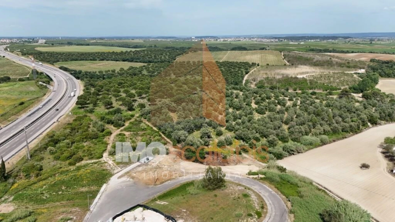 Terreno para Venda em Romeira e Várzea Foto 7