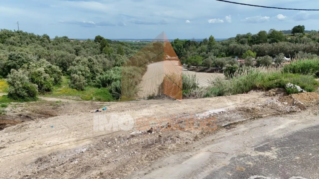 Terreno para Venda em Romeira e Várzea Foto 18