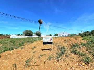 Terreno para Venda em Garvão e Santa Luzia