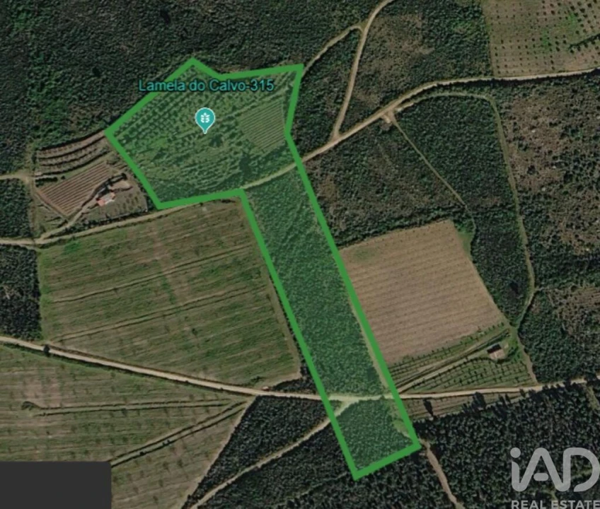 Terreno para Venda em Poiares Foto 1