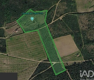 Terreno para Venda em Poiares