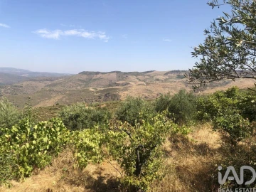 Terreno para Venda em Poiares