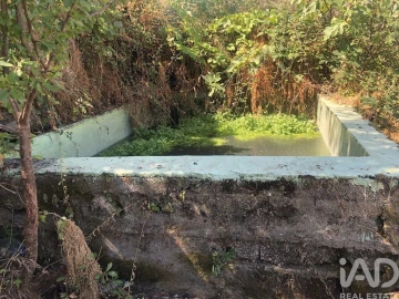 Terreno para Venda em Poiares