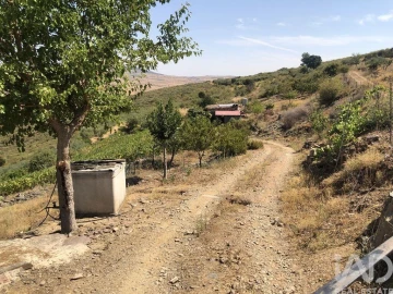 Terreno para Venda em Poiares