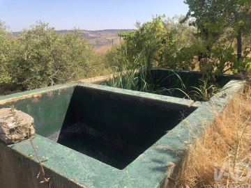 Terreno para Venda em Poiares