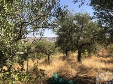 Terreno para Venda em Poiares