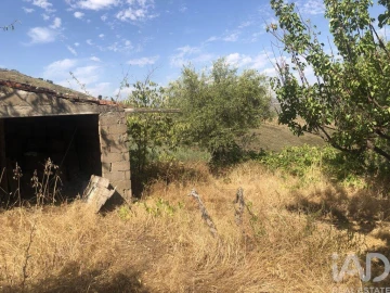 Terreno para Venda em Poiares