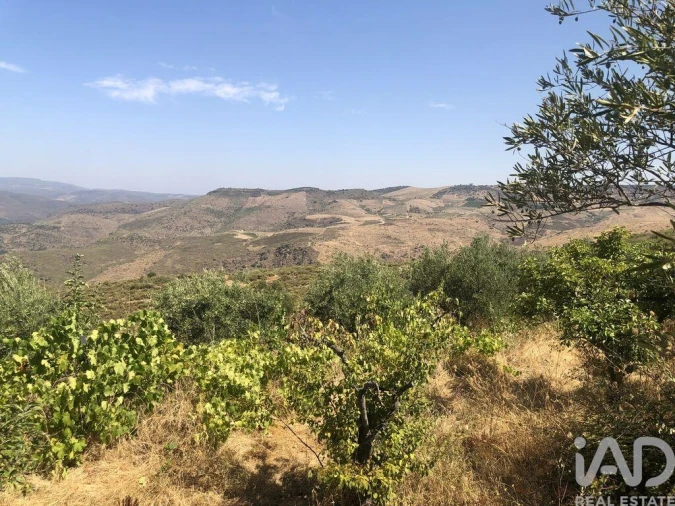 Terreno para Venda em Poiares Foto 27