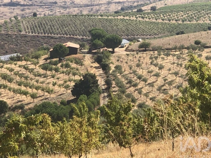 Terreno para Venda em Poiares Foto 8