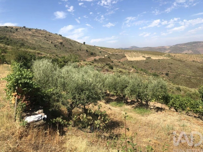 Terreno para Venda em Poiares Foto 21