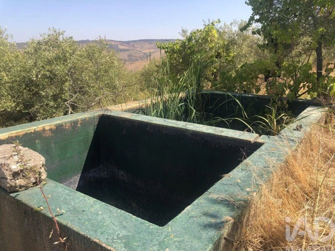 Terreno para Venda em Poiares Foto 16